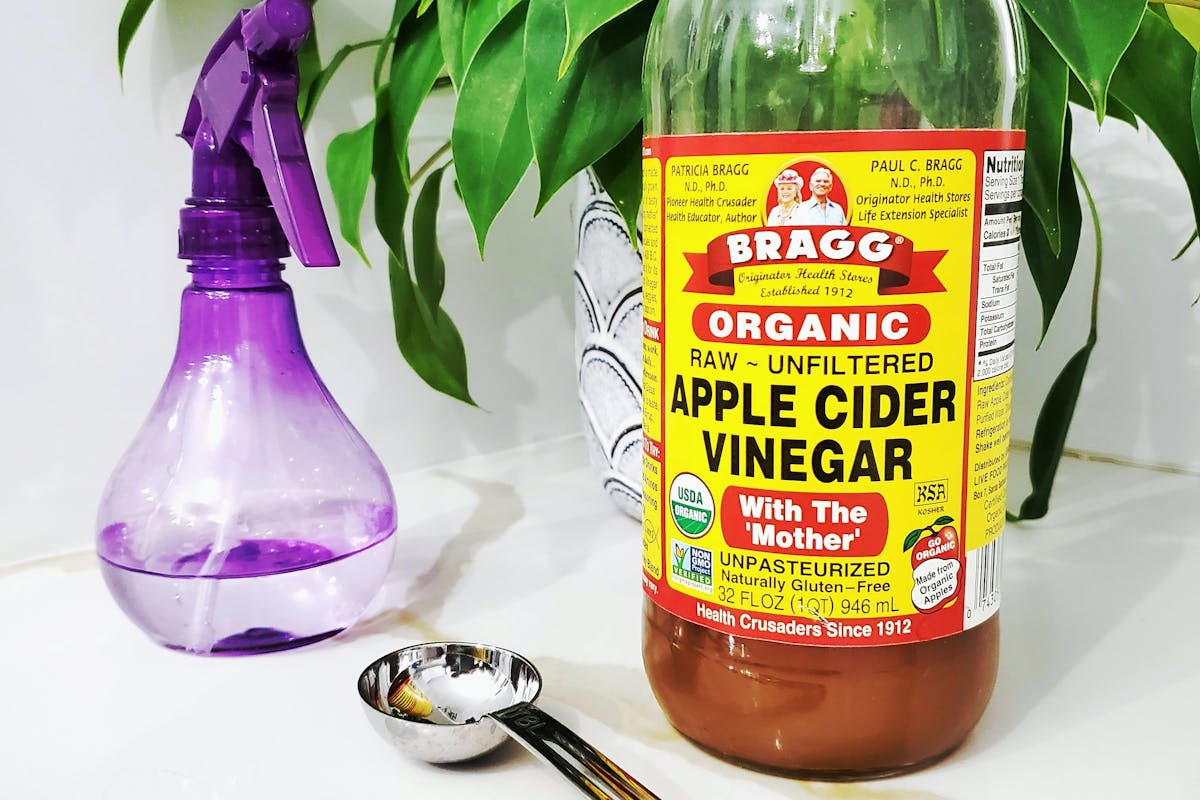 A spray bottle placed next to a bottle of apple cider vinegar